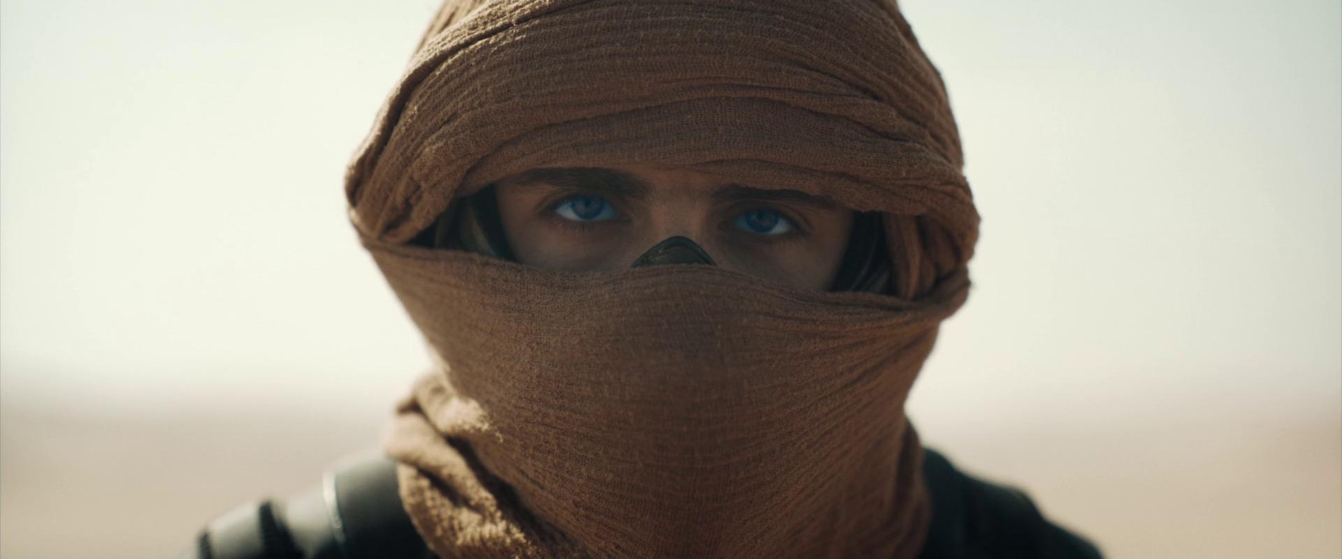 Dune: Part Two — Where to Watch, Plot, Cast & Review dune part 2 27